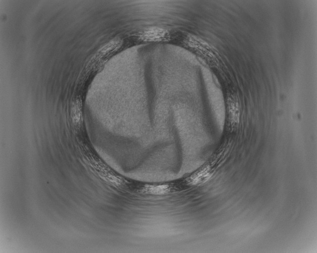 X0000076100665200610152345