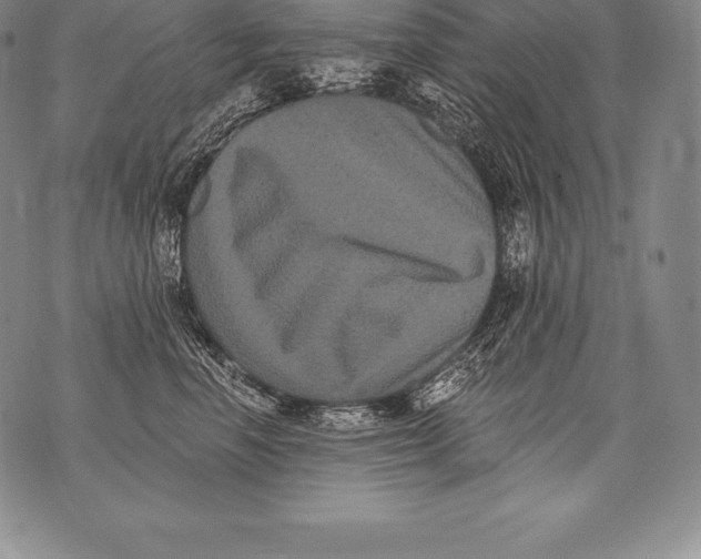 X0000076100666200610152345