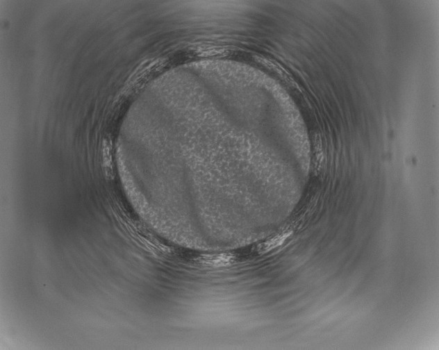 X0000076100667200610152345