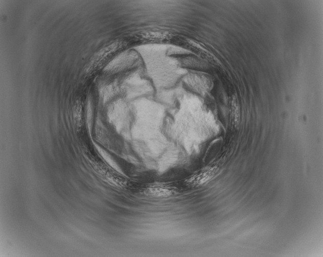 X0000076100668200610152345