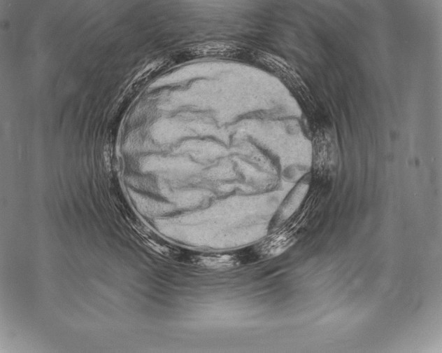 X0000076100669200610152345