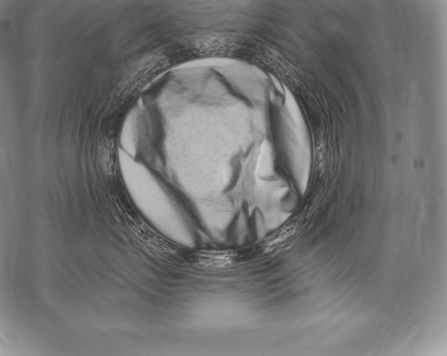 X0000076100671200610152345