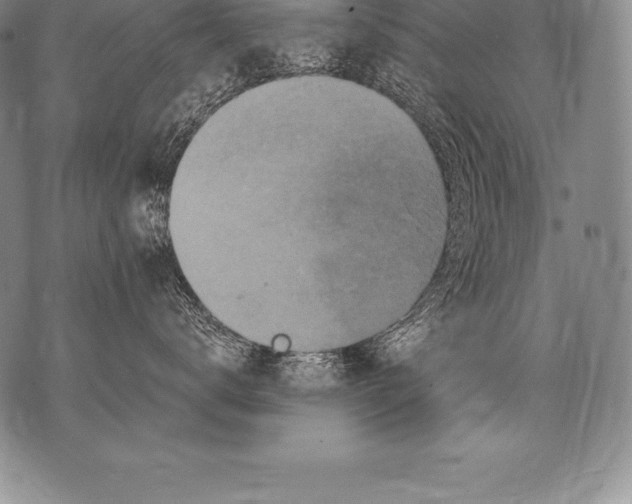 X0000076100672200610152345