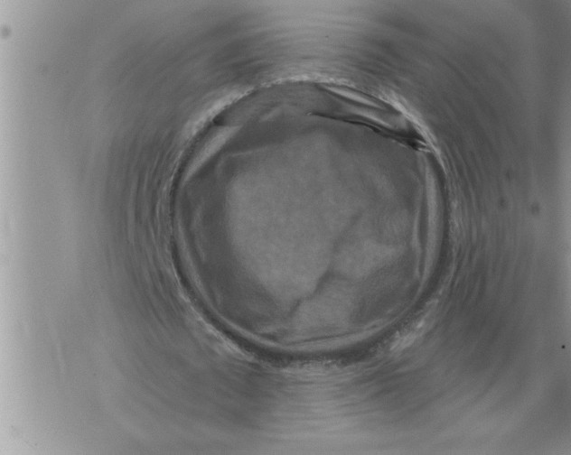 X0000076100673200610152344