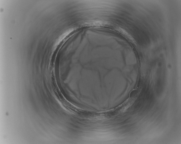 X0000076100674200610152344