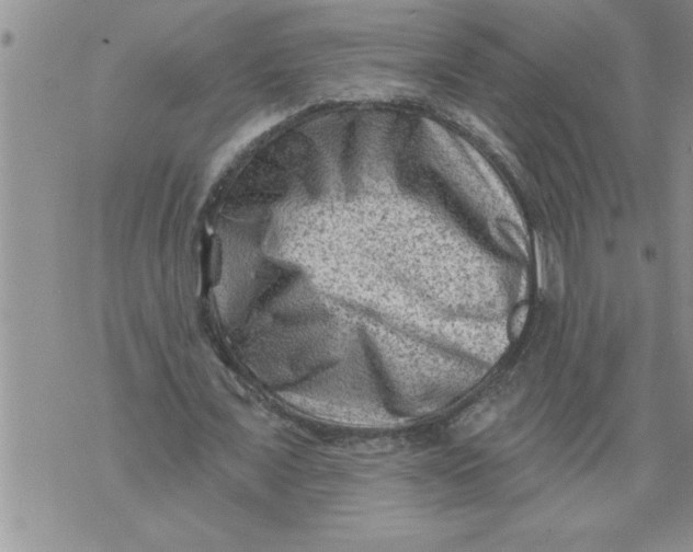 X0000076100675200610152344