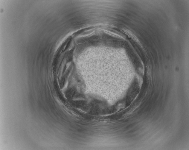 X0000076100676200610152344