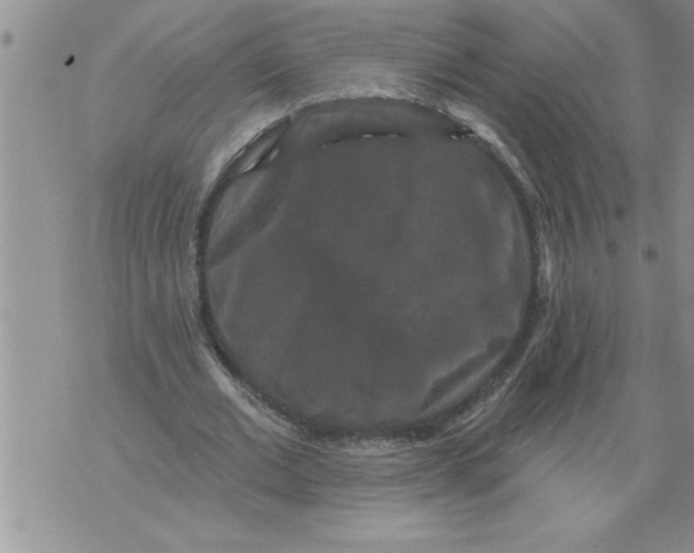 X0000076100677200610152344