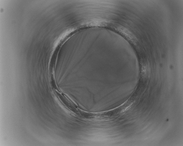 X0000076100678200610152344