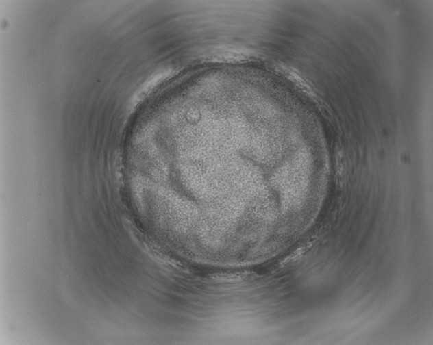 X0000076100679200610152344