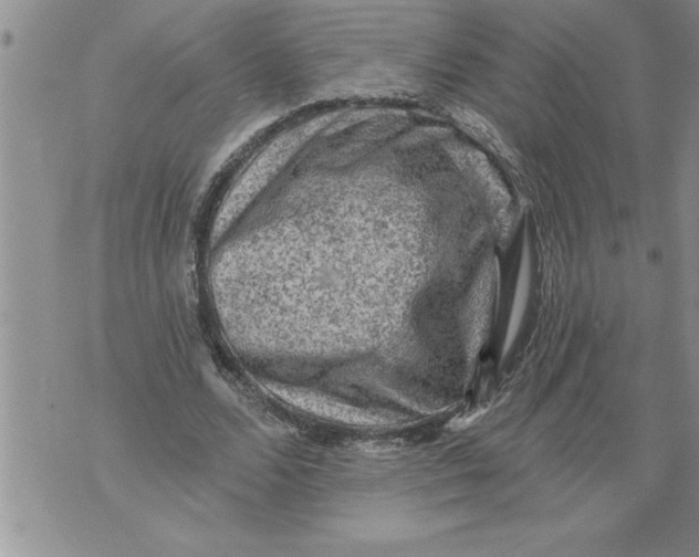 X0000076100680200610152344