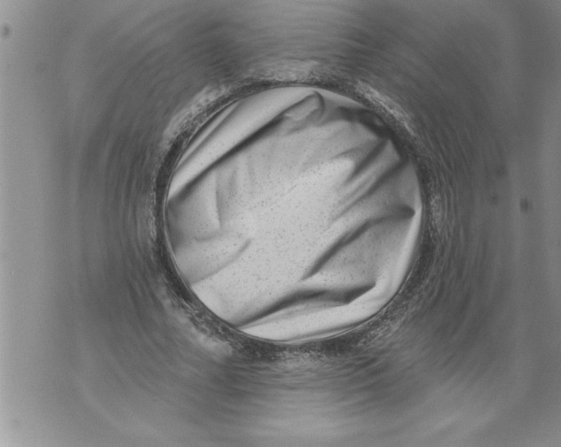 X0000076100682200610152344