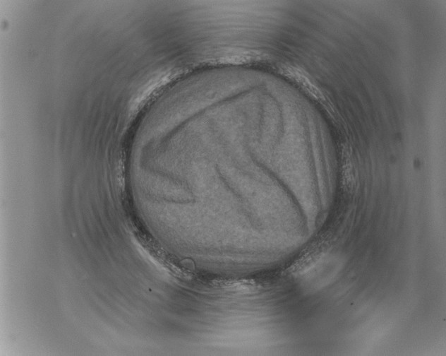 X0000076100683200610152344