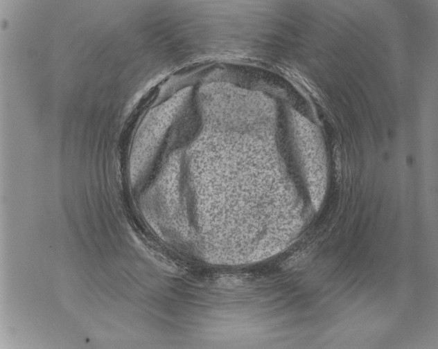 X0000076100684200610152344