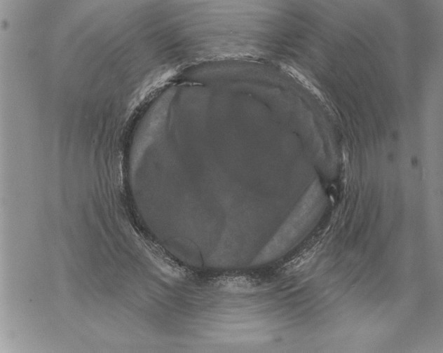 X0000076100685200610152344