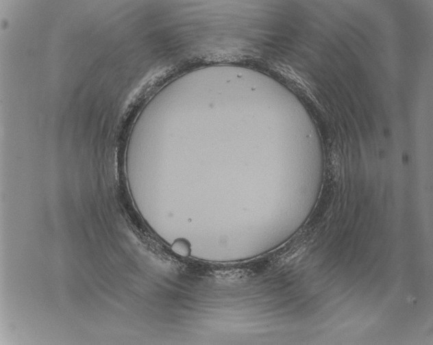 X0000076100686200610152344