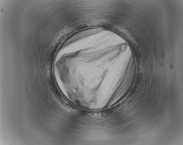 X0000076100687200610152344