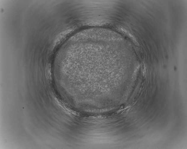 X0000076100688200610152344