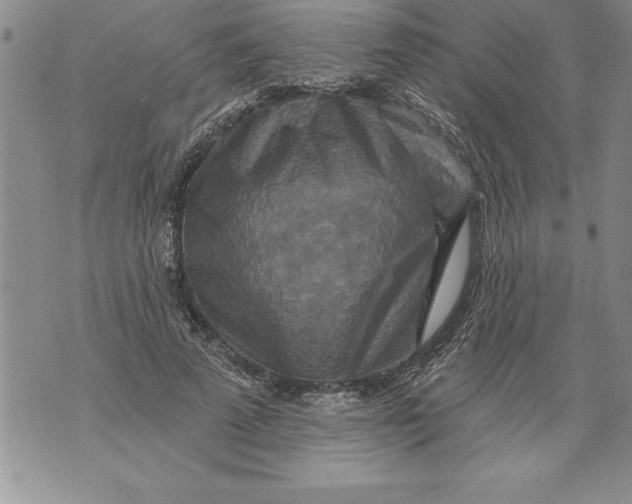 X0000076100689200610152344