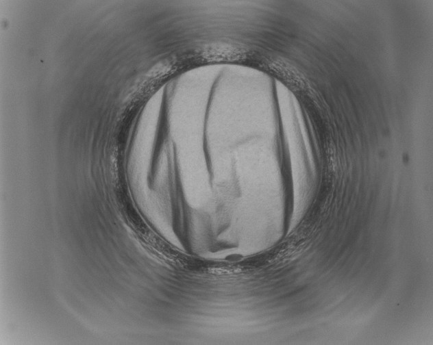 X0000076100690200610152344