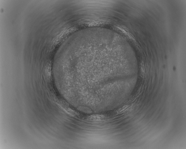 X0000076100691200610152344