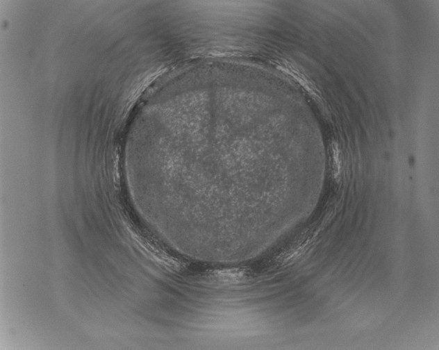 X0000076100692200610152344