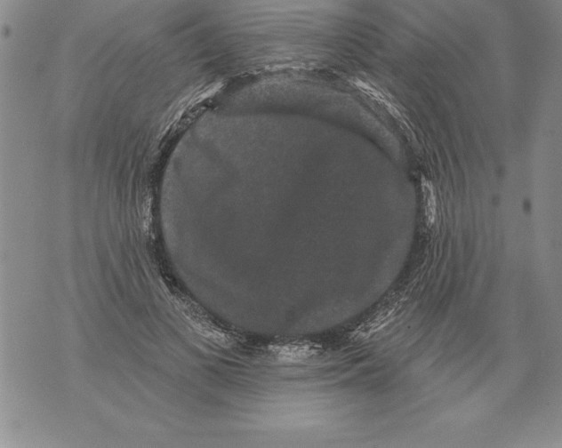 X0000076100693200610152344