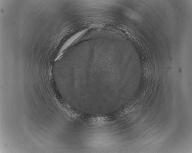 X0000076100695200610152344