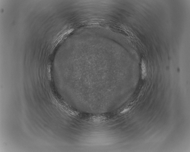 X0000076100696200610152344