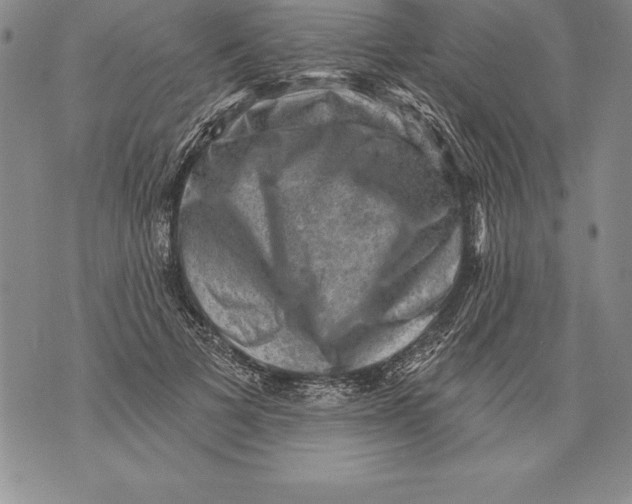 X0000076100697200610152344