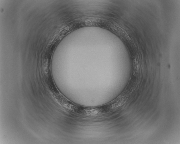 X0000076100698200610152343