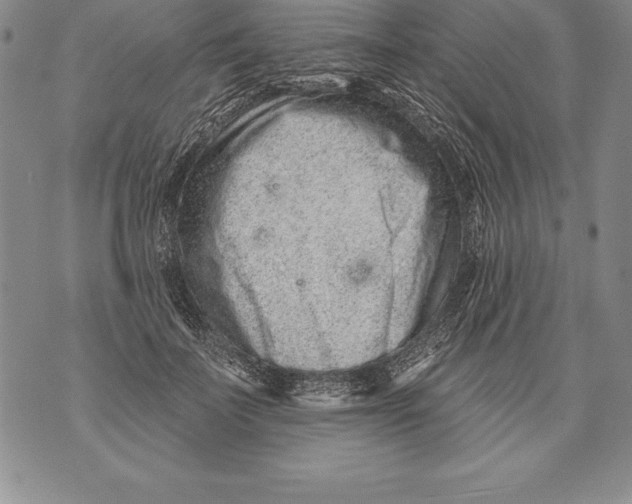 X0000076100699200610152343