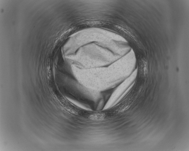 X0000076100700200610152343