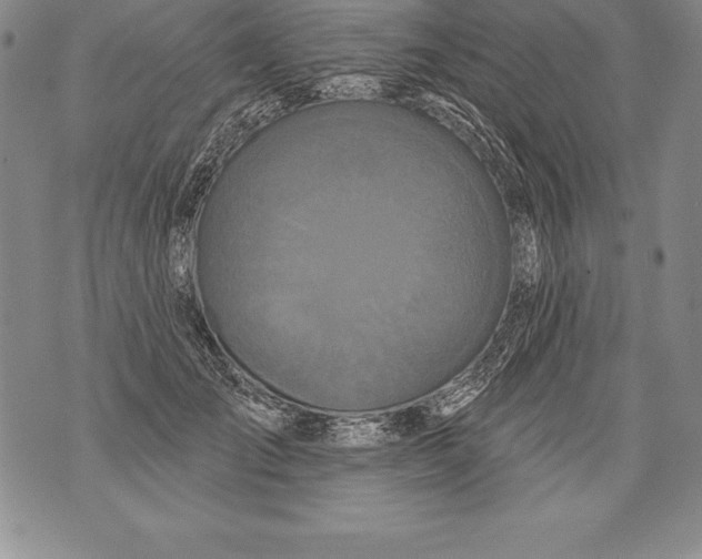 X0000076100701200610152343