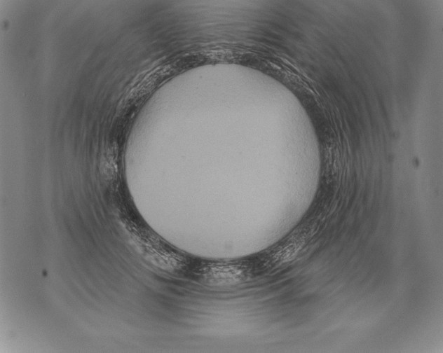 X0000076100702200610152343