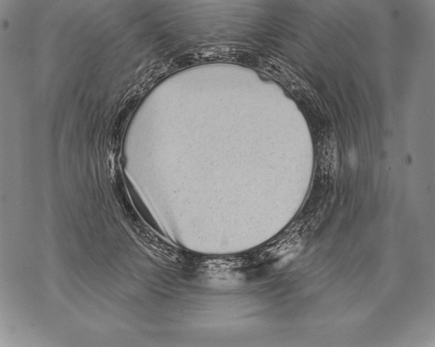 X0000076100703200610152343