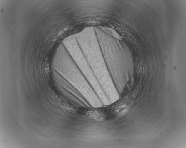 X0000076100704200610152343