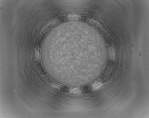 X0000076100705200610152343