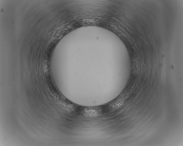 X0000076100706200610152343