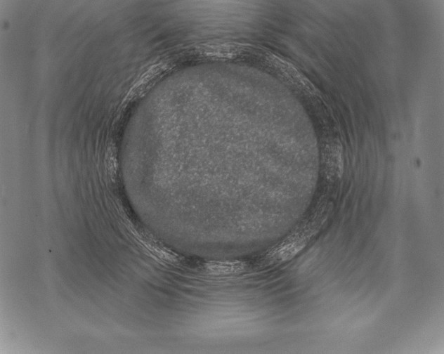 X0000076100707200610152343