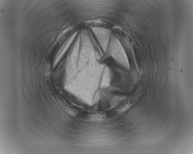 X0000076100708200610152343