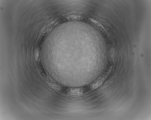 X0000076100709200610152343