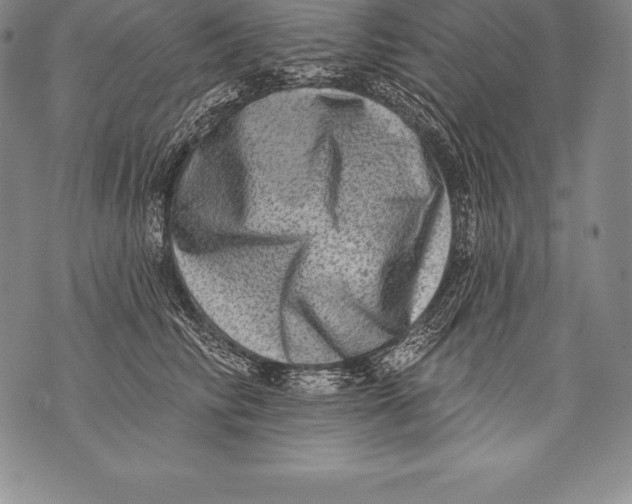 X0000076100710200610152343