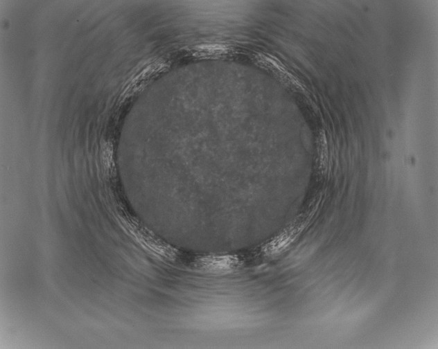 X0000076100711200610152343