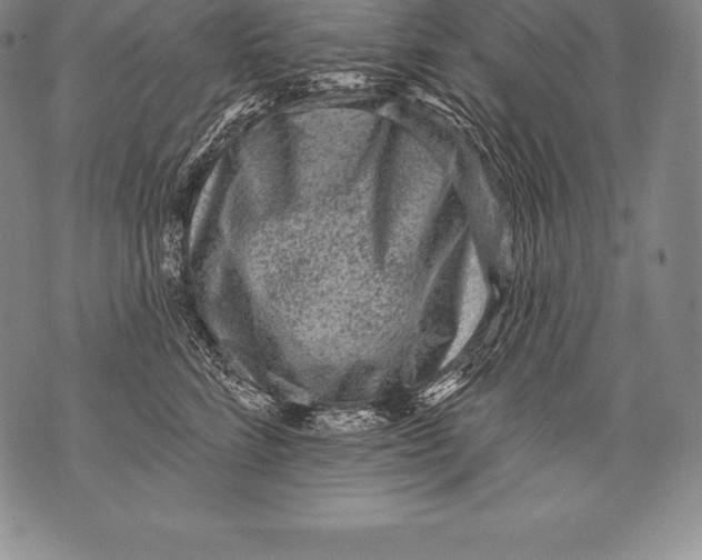 X0000076100712200610152343