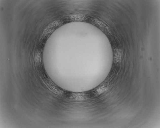 X0000076100713200610152343