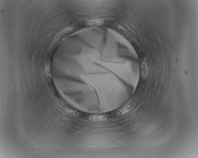 X0000076100714200610152343