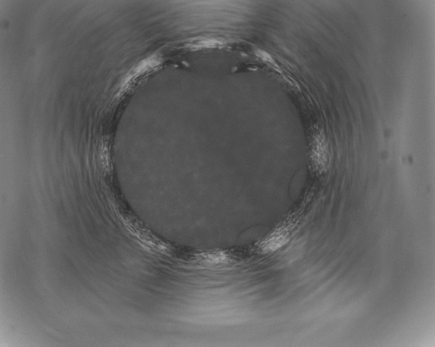 X0000076100715200610152343