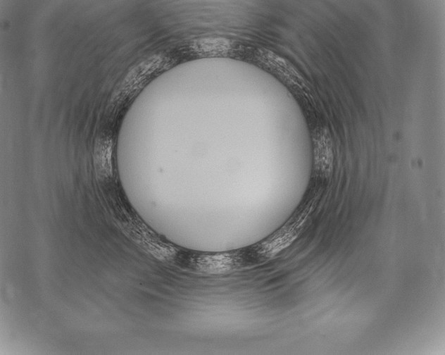 X0000076100717200610152343