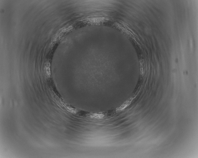 X0000076100718200610152343